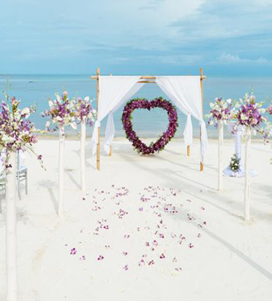 Welcome to Lalouka Listing Category Wedding Proposal Venues